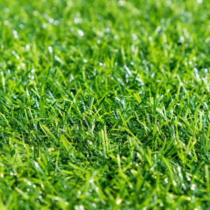 green-lawn-with-blue-sky-spring-landscape-sunny-day_44621-633